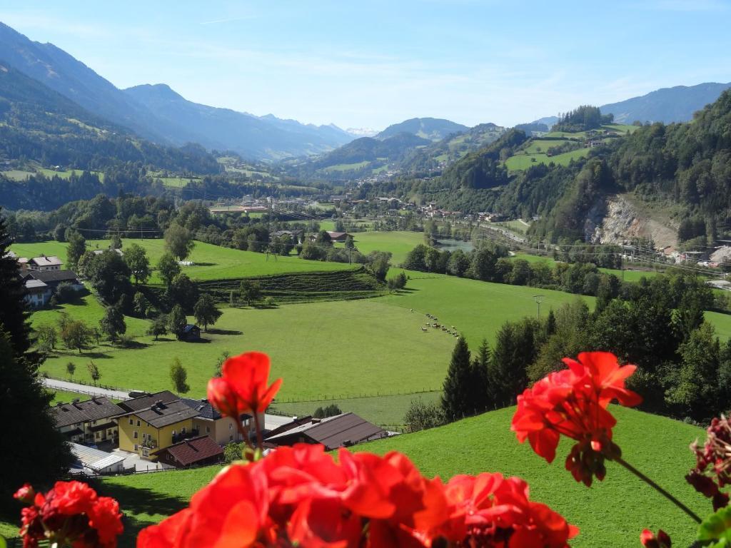 Pension Appartements Reithof Sankt Johann im Pongau Rom bilde