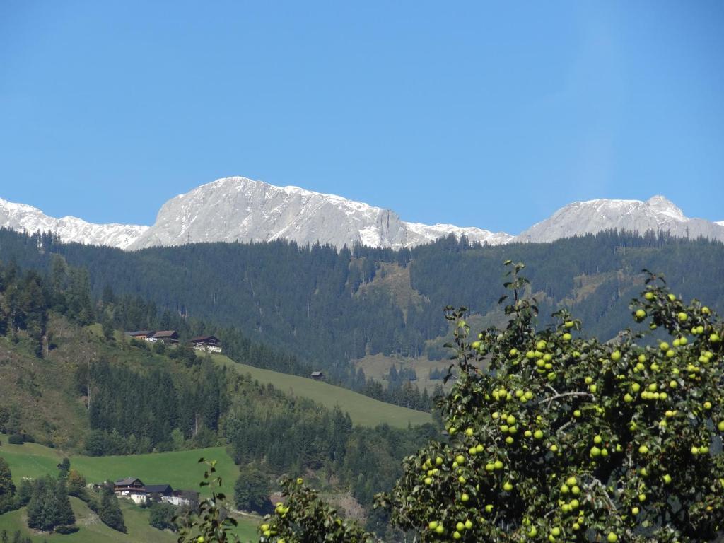 Pension Appartements Reithof Sankt Johann im Pongau Rom bilde